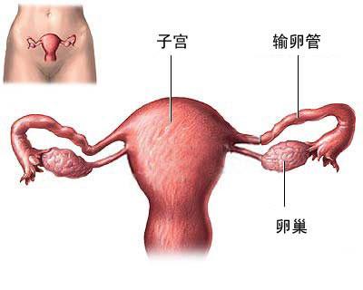 输卵管通而不畅的检查方法
