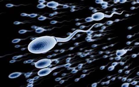 精子畸形不怀孕该怎么办